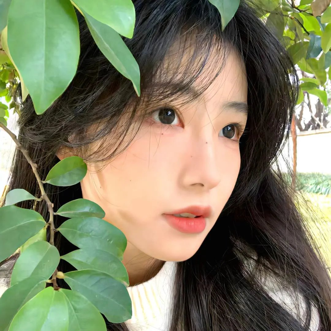 一见又倾心