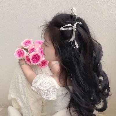 全知读者视角